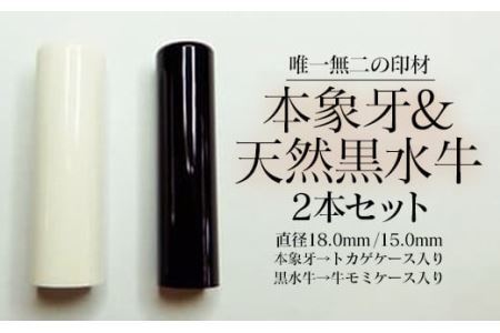 高級本象牙印鑑&天然黒水牛印鑑 2本Aセット(男性向け) はんこ ハンコ 実印 銀行印 認印 ケース付 オーダー 18.0㎜ 15.0㎜
