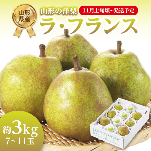 《先行受付》ラフランス 約3kg （7～11玉） 【2026年11月上旬頃～発送予定】【山形洋梨】 001-081
