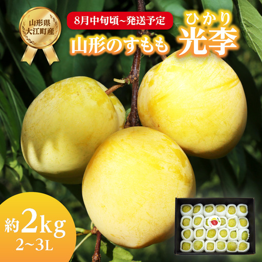 《先行受付》すもも「光李（ひかり）」約2kg 2～3L【2026年8月中旬頃～発送予定】【山形プラム・大江町産】 001-080