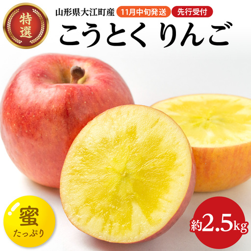 [先行受付]特選こうとくりんご約2.5kg [2026年11月中旬頃〜発送予定][大江町産・山形りんご・大地農産・11月・12月] 028-024