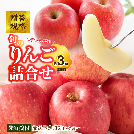 《先行受付》贈答規格 旬のりんご詰合せ約3kg（サンふじ確約3種以上）特秀～秀 大江町産【2026年12月上旬頃～発送予定】【大江町産・山形りんご・りんご専科 清野】 015-052