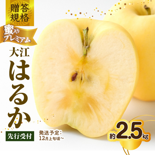 [先行受付]贈答規格 蜜入りプレミアム大江はるか約2.5kg 特秀〜秀[2026年12月上旬〜発送予定][大江町産・山形りんご・りんご専科 清野] 015-059