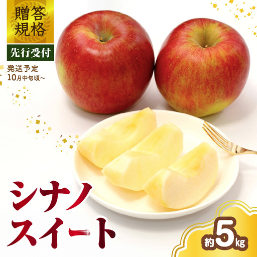 《先行受付》 贈答規格 シナノスイート約5kg（特秀～秀14～20玉）【2026年10月中旬頃～発送予定】【大江町産・山形りんご・りんご専科 清野】 015-056