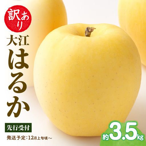 《先行受付》訳あり 大江はるか約3.5kg【2026年12月上旬～発送予定】【大江町産・山形りんご・りんご専科 清野】 015-060