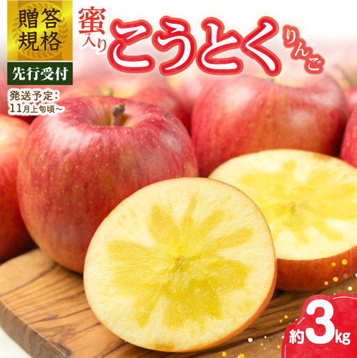 《先行受付》贈答規格 蜜入りこうとくりんご約3kg 特秀～秀【2026年11月上旬～発送予定】【大江町産・山形りんご・りんご専科 清野】 015-058