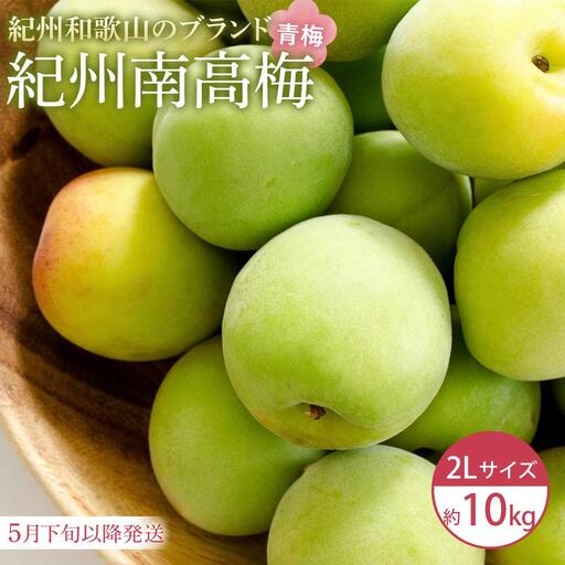 【2027年5月下旬以降発送】紀州南高梅(青梅) 10kg〈2Lサイズ〉