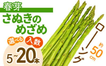 ＜先行予約！2027年2月下旬以降順次発送予定＞春芽！ロング！約50cm！ アスパラガス さぬきのめざめ(10本入) 香川県 国産 野菜 アスパラ 新鮮 冷蔵便 【man097-B】【Aglio nero】