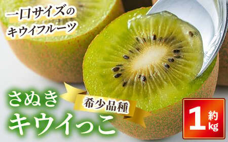＜先行予約！2026年11月中旬以降順次発送予定＞さぬきキウイっこ(約1kg) フルーツ 果物 新鮮 香川県 果物 人気 【man179】【Aglio nero】