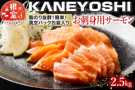 お刺身トラウトサーモン2.5kg C-09002
