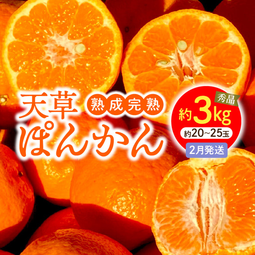S117-004_香りを食す！熟成完熟天草ぽんかん 2月発送 約3kg秀品〈先行受付〉