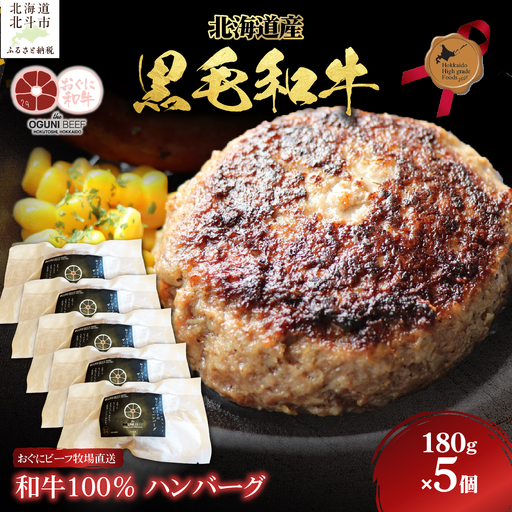 北海道産 黒毛和牛 おぐにビーフ 牧場直送  和牛100％  ハンバーグ180g×5 HOKQ006 | ハンバーグ