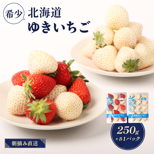 【2027年１月以降発送！】【北海道産】ゆきいちご（ゆきぼたん/すず）白×MIX 2Pセット 各250g×2 計500g 苺 白いちご 一季成りイチゴ 希少 ギフト お取り寄せ ふるさと納税 北海道 中標津町【5900203】