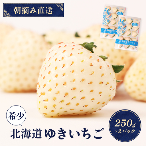 [2027年1月以降発送!][北海道産]ゆきいちご(白いちご) 2Pセット 250g×2 計500g 苺 イチゴ 白いちご 一季成りイチゴ ゆきぼたん パールホワイト 希少 高級 ギフト お取り寄せ ふるさと納税 北海道 中標津[59001]