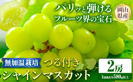  つる付き シャインマスカット 2房【配送不可地域あり】 