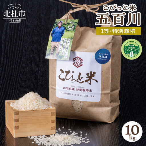 【令和8年度新米】こぴっと米【五百川】10kg 1等特別栽培米100％ [h020]