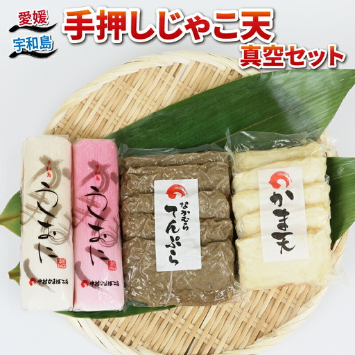 じゃこ天 真空 セット 中村かまぼこ店 かまぼこ C010-013006