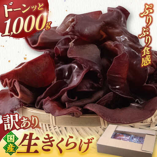 [お中元対象]福岡県産生きくらげ 1kg ADBA001 きくらげ