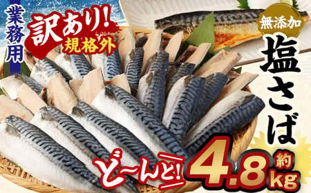 【訳あり規格外】  業務用 無添加 塩さば どーんと! 4.8kg 鯖 さば 塩サバ 干物 魚