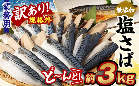 【訳あり規格外】 業務用 無添加 塩さば どーんと! 3kg 鯖 さば 塩サバ 干物 魚