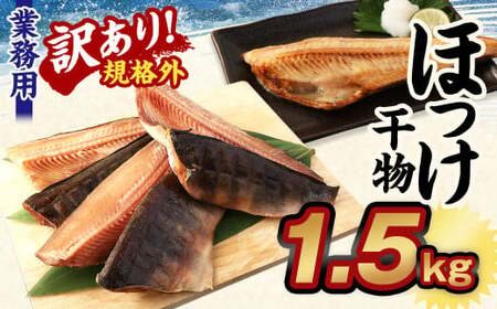 [訳あり規格外]業務用 ほっけ干物 1.5kg 干物 ホッケ 縞ほっけ ほっけ