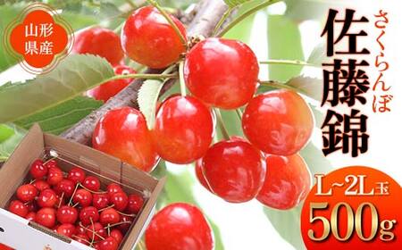 【2027年先行予約】さくらんぼ 佐藤錦 500g 秀品 L～2Lサイズ FSY-1279
