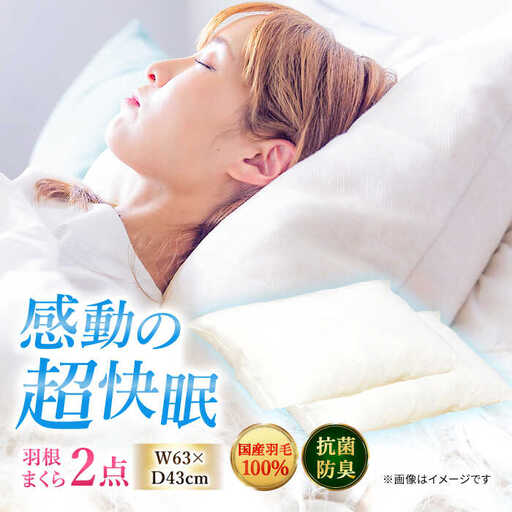 国産羽根まくら 2点セット 羽毛1.1kg / まくら[AFAO012]