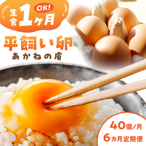 〈平飼い卵〉あかねの虜（40個/月）【6カ月定期便】【J08-002】