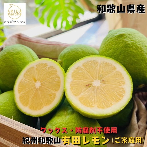 紀州和歌山 ご家庭用 有田 レモン 1.5kg+200g(痛み補償分)[防腐剤・ワックス不使用][農家直送][訳あり] ※着日指定不可 ※2026年9月下旬〜2027年3月下旬に順次発送予定[ard188A]