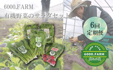 FV019_【６回定期便】6000.FARMの有機野菜のサラダセット　
