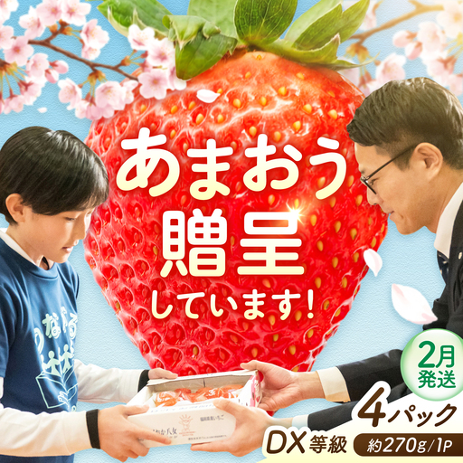 【2月発送】あまおうDX等級 2ケース（約270g×4パック） 広川町 / JAふくおか八女農産物直売所どろや[AFAB109]
