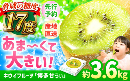 [★先行予約★ 2026年11月上旬より発送]キウイ 博多甘うぃ 約3.6kg / キウイ[AFAB013]