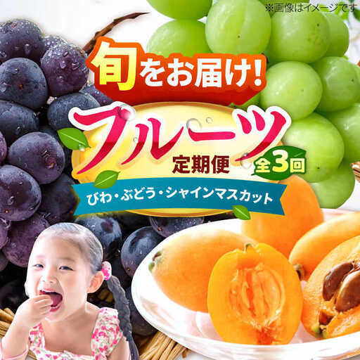 【先行予約2027年4月発送開始】【3回定期便】フルーツ定期便（びわ/ぶどう/シャインマスカット）果物 [AFAB025] 