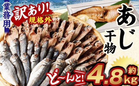 [訳あり規格外] 業務用 あじ 干物 どーんと! 4.8kg アジ 鯵 魚