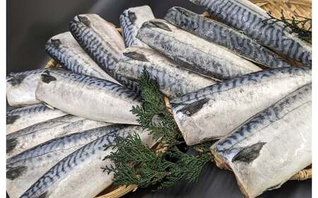 プロ食材 サバフィーレ 3kg 無塩 無塩鯖 さば サバ 鯖フィーレ 焼魚 煮魚 揚げ 料理 さかな