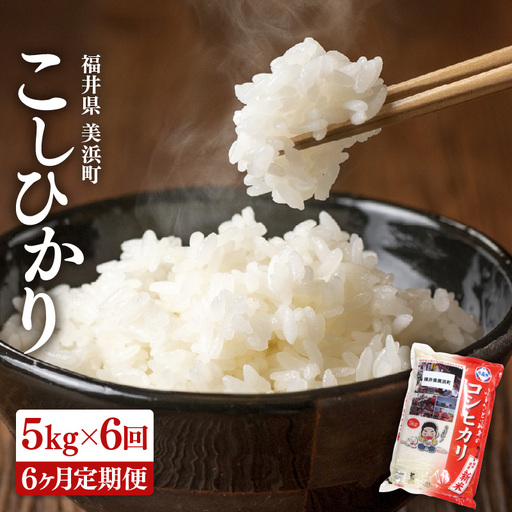 [先行予約][令和8年産・新米] 定期便 ≪6ヶ月連続お届け≫ 米 コシヒカリ 5kg × 6回 (計30kg)精米 福井県美浜町産 [2026年10月下旬より順次発送] [m60-f006]