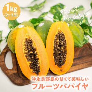【 先行受付 】沖永良部島 の 甘くて美味しい フルーツパパイヤ 1kg（ 2～3玉 ） W051-009u 果物