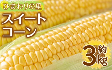 [先行予約!2027年6月上旬以降順次発送予定]イエローコーン(約3kg) 国産 トウモロコシ とうもろこし 冷蔵便 スイートコーン [man113][Aglio nero]