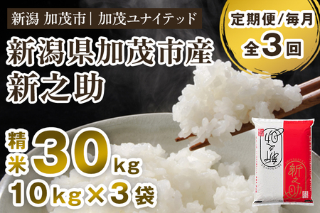 【令和8年産新米先行予約】【3ヶ月定期便】新潟県産 新之助 精米30kg （10kg×3袋）《10月上旬から順次出荷》 加茂ユナイテッド