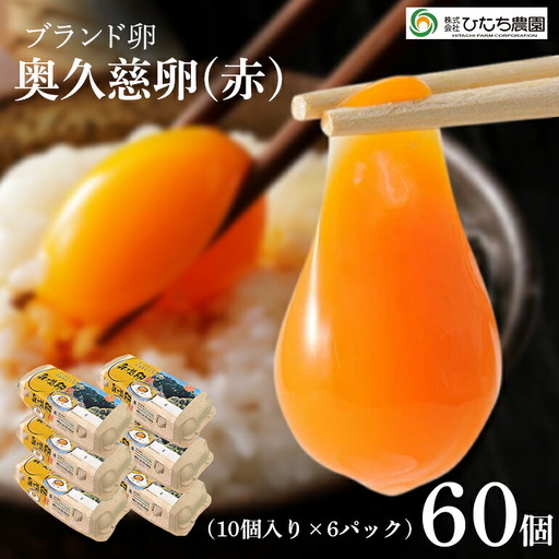 卵 奥久慈卵 ブランド卵 赤 60個 [卵][ho1315]
