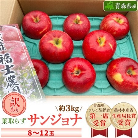 「葉とらずサンジョナ」約3kg・訳あり家庭用りんご_果物・フルーツ りんご  リンゴ 林檎_【配送不可地域：離島・沖縄県】【1491235】