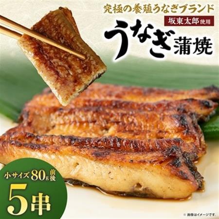 天然 に近づけた究極の養殖 鰻「坂東太郎 使用」 うなぎ 蒲焼 小サイズ 80g前後×5串【配送不可地域：離島】【1488907】