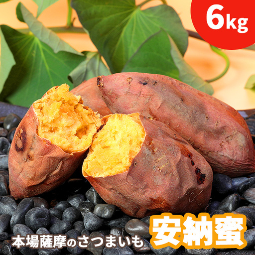 本場鹿児島さつまいも 【安納蜜】6kg　2026年10月より発送A3-55_野菜 さつまいも いも サツマイモ 薩摩芋_【配送不可地域：離島】【1167099】