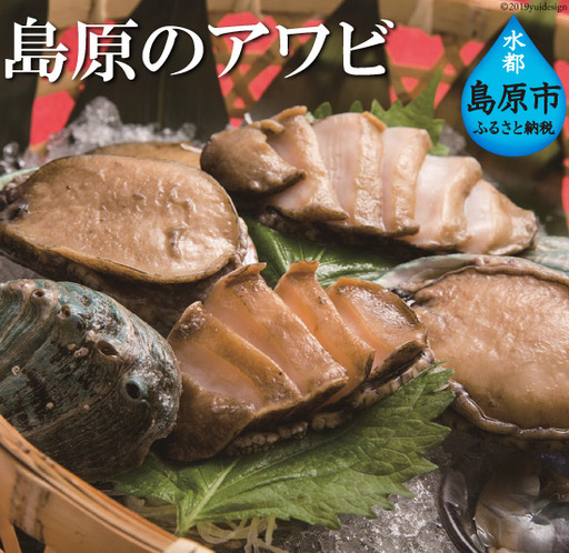 AA060たっぷりの海藻ミネラルで育てた　島原のアワビ