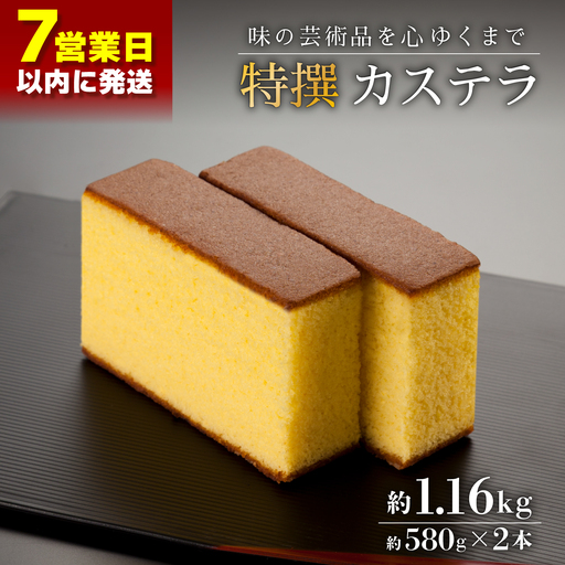 [最速]特撰カステラ 2号(約580g×2本入)