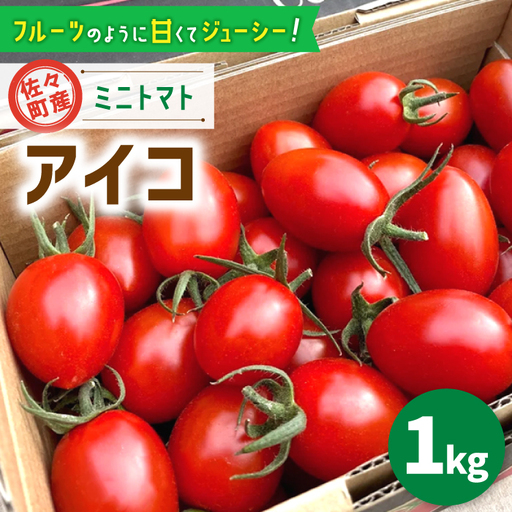 先行予約 ミニトマト アイコ 1kgトマト [C&T farm] 