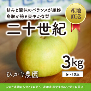 こだわり二十世紀梨 3キロ（ひかり農園）