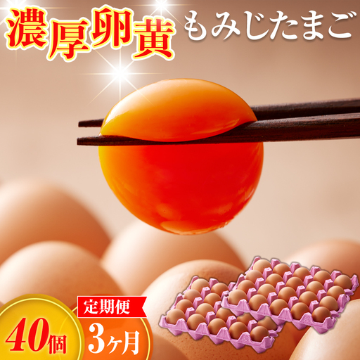 濃厚卵黄もみじたまご[40個入り][3ヶ月連続]定期便 [No.934]