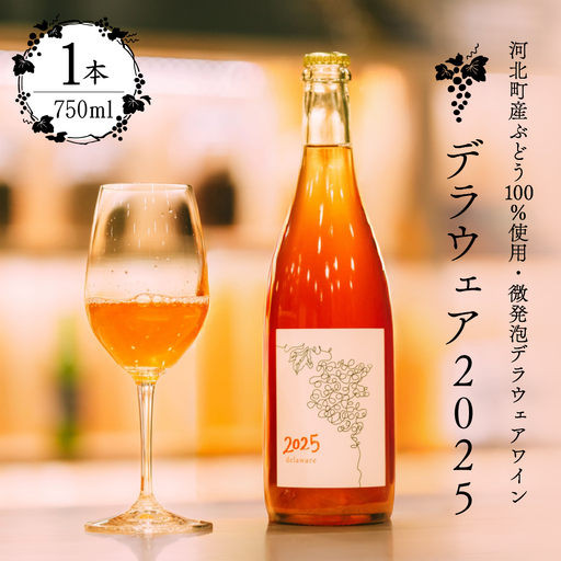 ワイン 泡 デラウェア ワイン 2025 750ml 河北町産 ぶどう ワイン