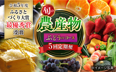 定期便 旬の農産物 全5回 定期便 [ACAA120]
