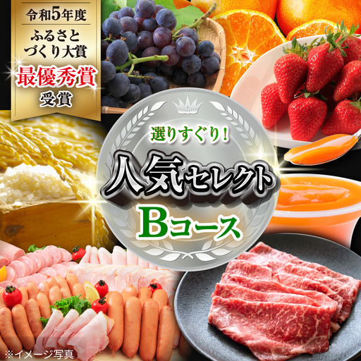 バラエティ定期便 人気セレクトBコース 12回 大村市産  [ACAA123]